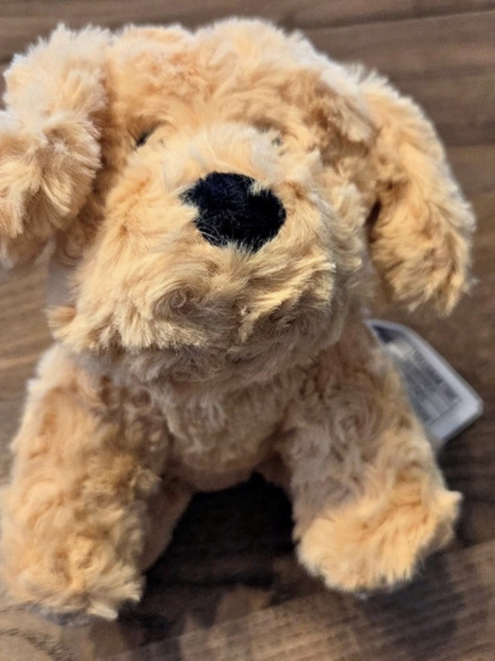 Warmies Golden Dog Warmies